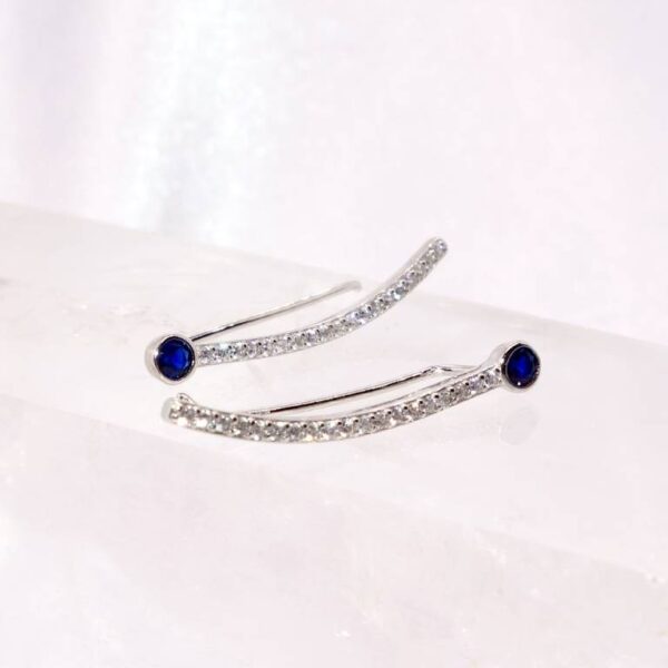 Pendientes Trepadores Con Circonitas